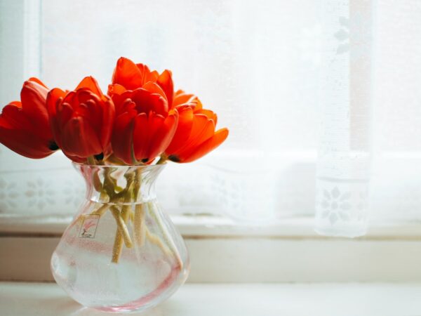 Bouquet de fleurs devant une fenêtre ©Pexels