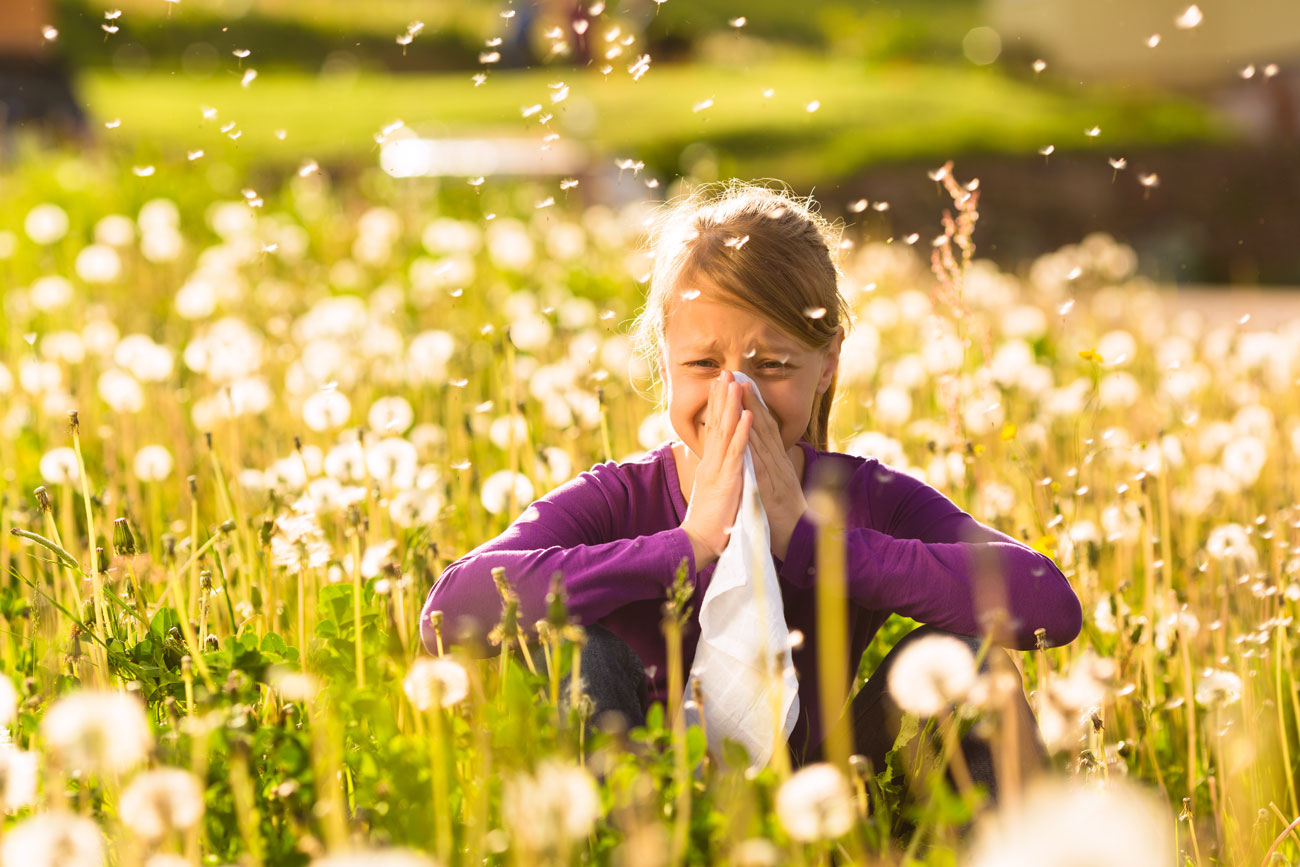 Allergies saisonnières 6 remèdes naturels pour vous soulager.