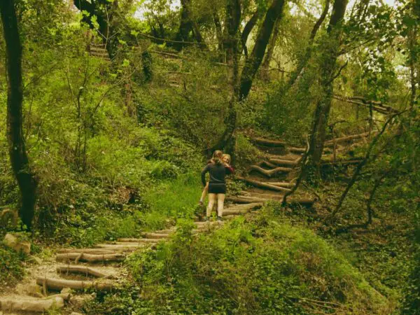 Vacances en forêts ©Pexels