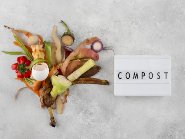 Compost ©Freepik