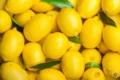 Voici les meilleures manières de conserver une moitié de citron