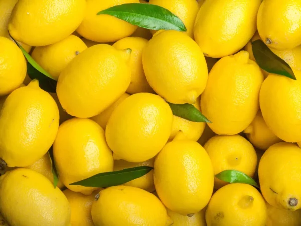 Voici les meilleures manières de conserver une moitié de citron
