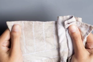 Retirer les taches de moisissure facilement sur vos vêtements en suivant ces conseils