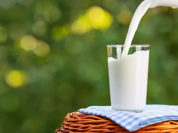 Ne jetez plus le lait périmé, voici comment l’utiliser intelligemment