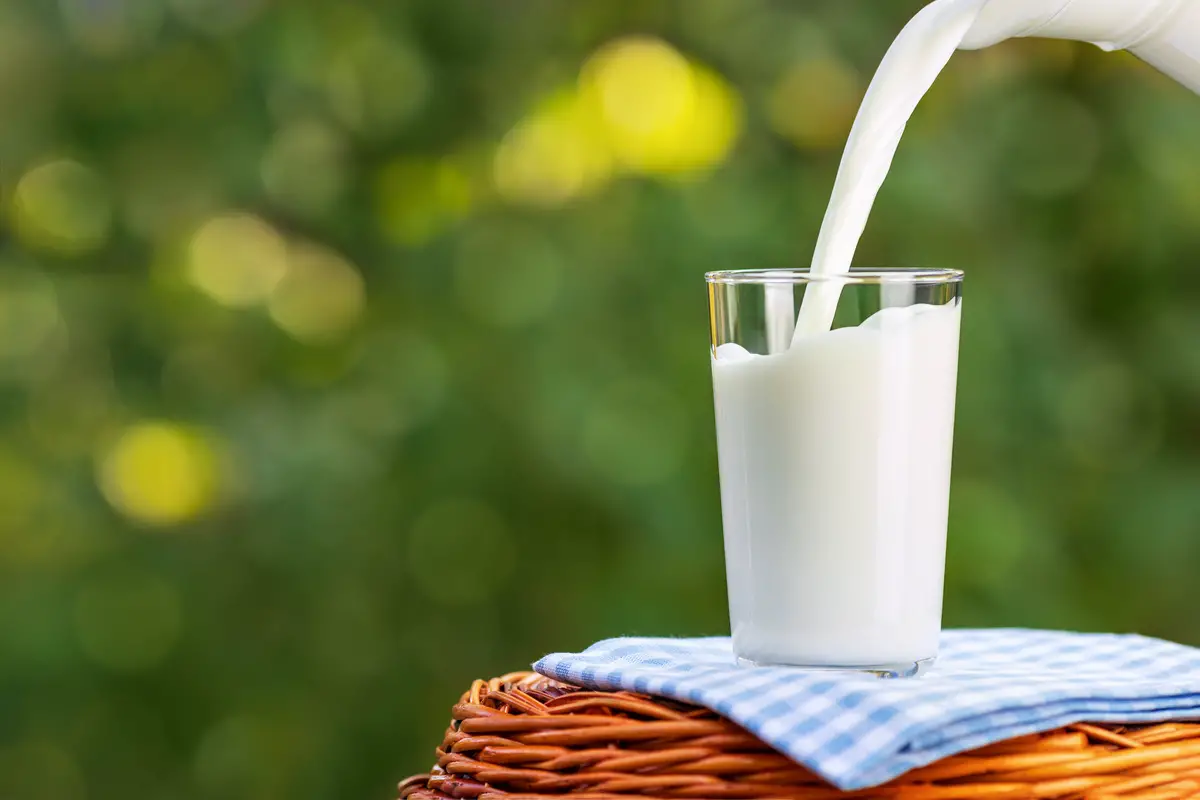 Ne jetez plus le lait périmé, voici comment l’utiliser intelligemment