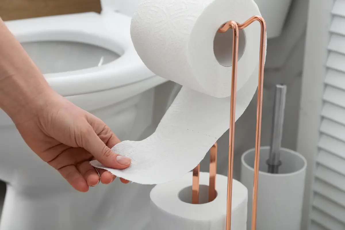 La fin du papier toilette est-elle proche ? Voici les alternatives possibles