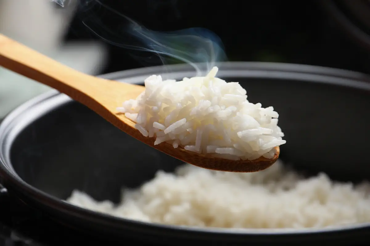 Peut-on manger du riz chaque jour sans risque pour la santé ?