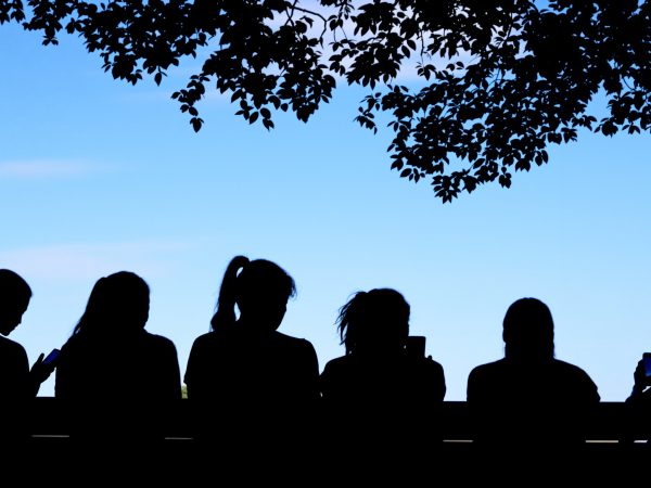 Jeunesse_connectée_au_parc