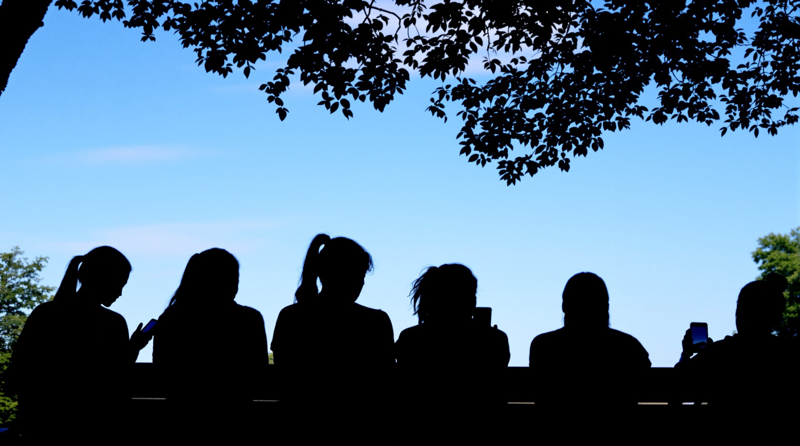 Jeunesse_connectée_au_parc