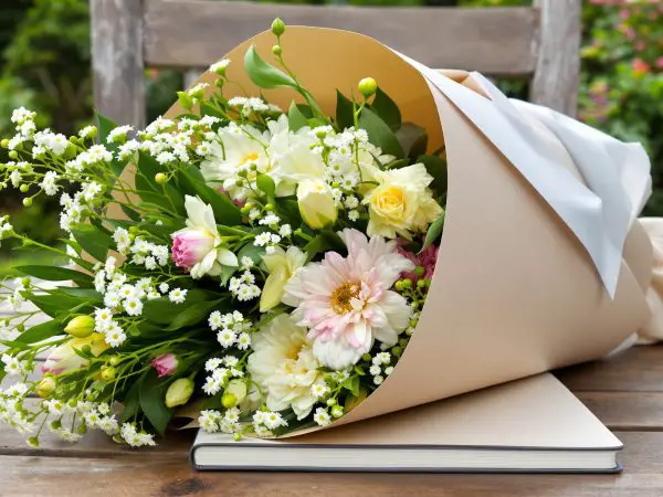 fleurs-jardin-journal