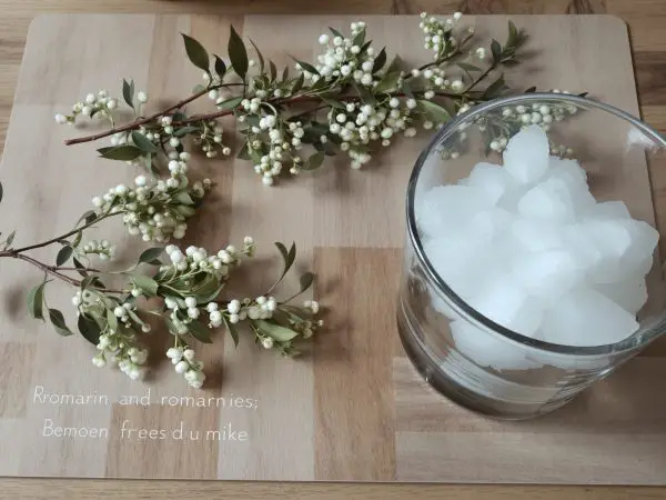 Gelée de romarin maison