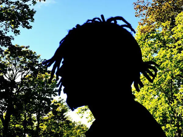 marche_ensoleillée_locks