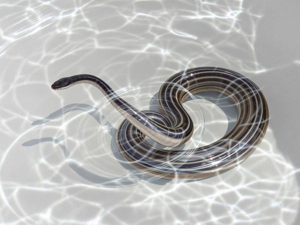 nettoyage_sol_naturel