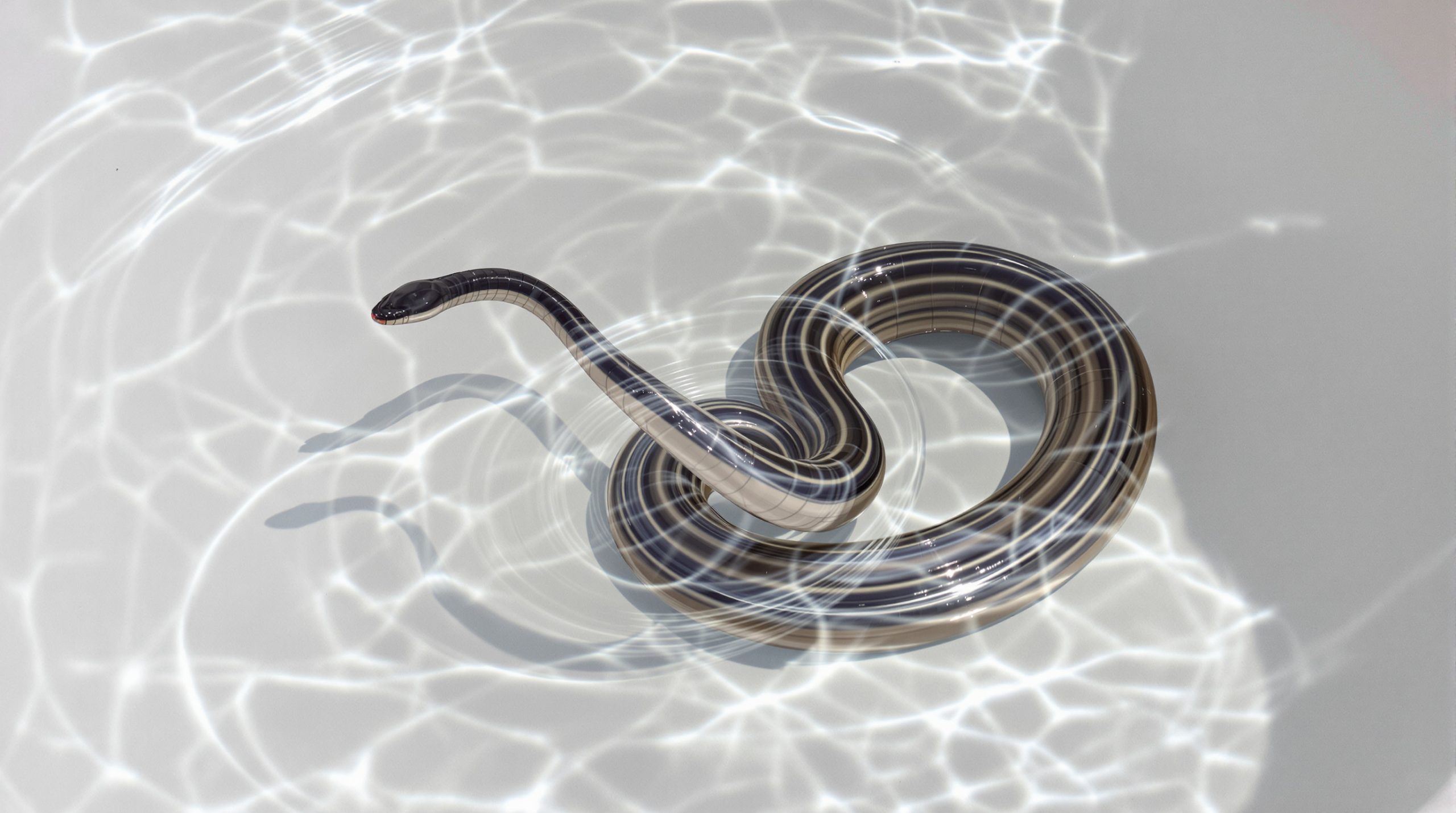 nettoyage_sol_naturel