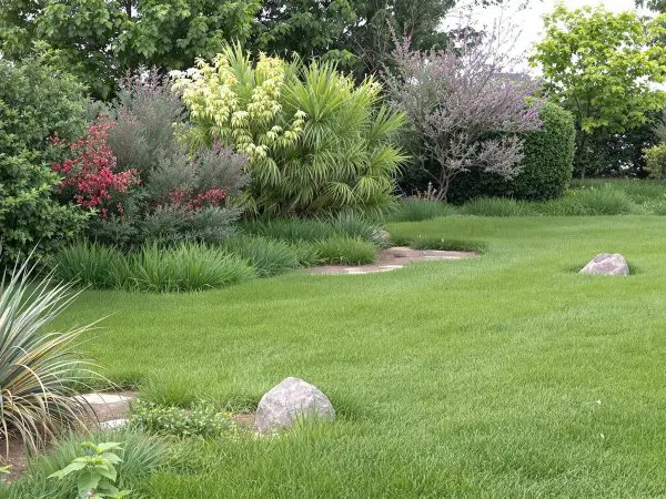 pelouse_jardin_barrieres_naturelles