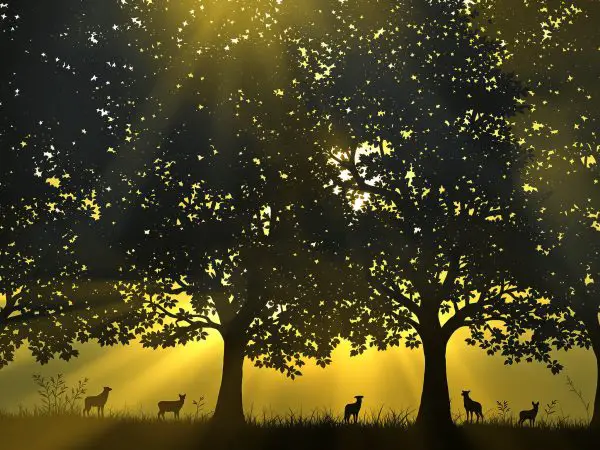 perception_naturelle