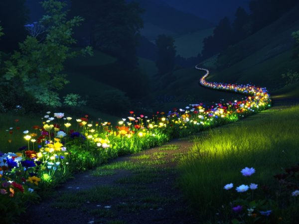 sentier_fleuri_lumineux