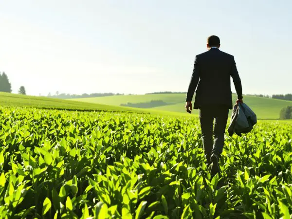 souvenir-paisible-champ