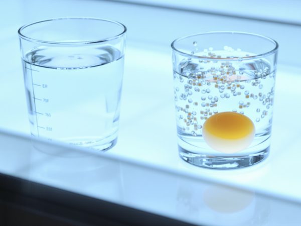 test_fraicheur_oeuf_verre_eau