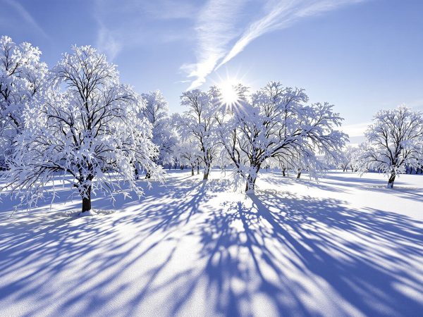 Camouflage_hivernal