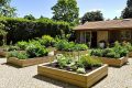 Carrés potagers : les erreurs à éviter pour des récoltes abondantes