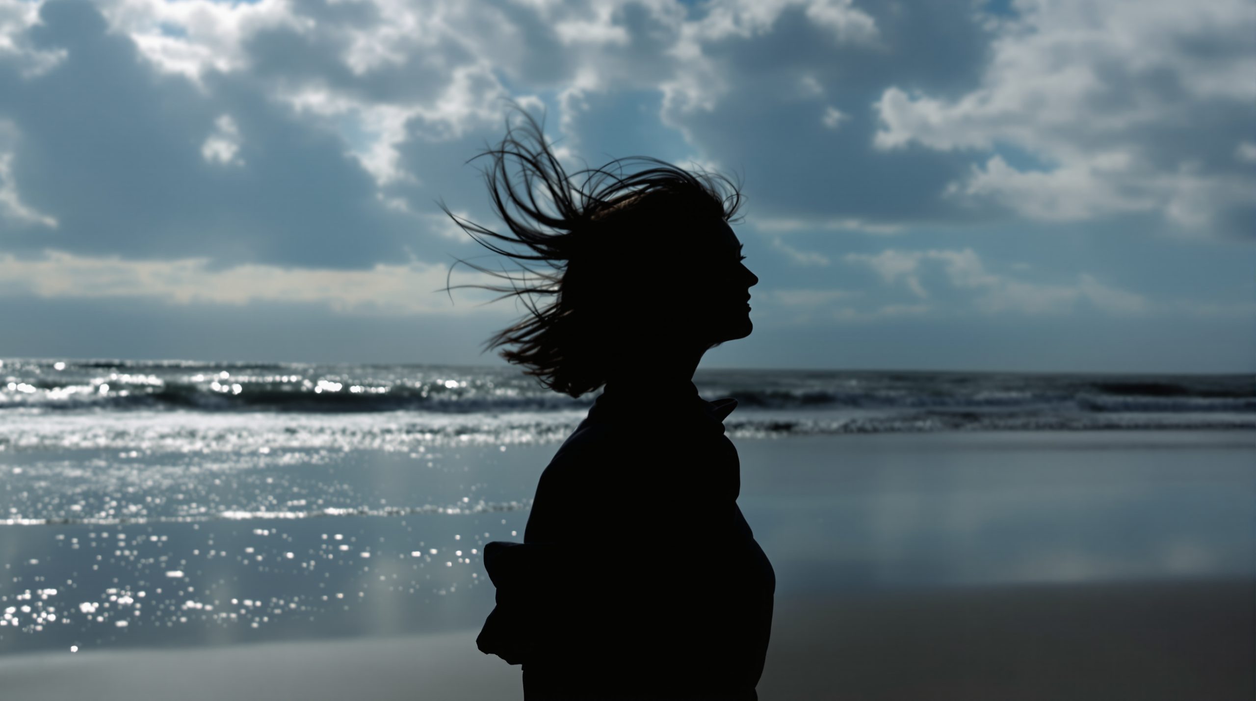 discretion_malibu_beach