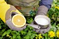 Nettoyez vos mains avec du sel et citron : efficacité naturelle garantie