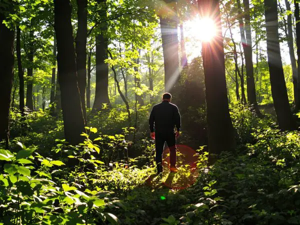 inspection-nature-personne