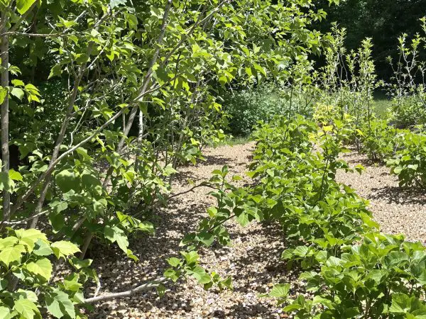 Jardin écologique recyclé