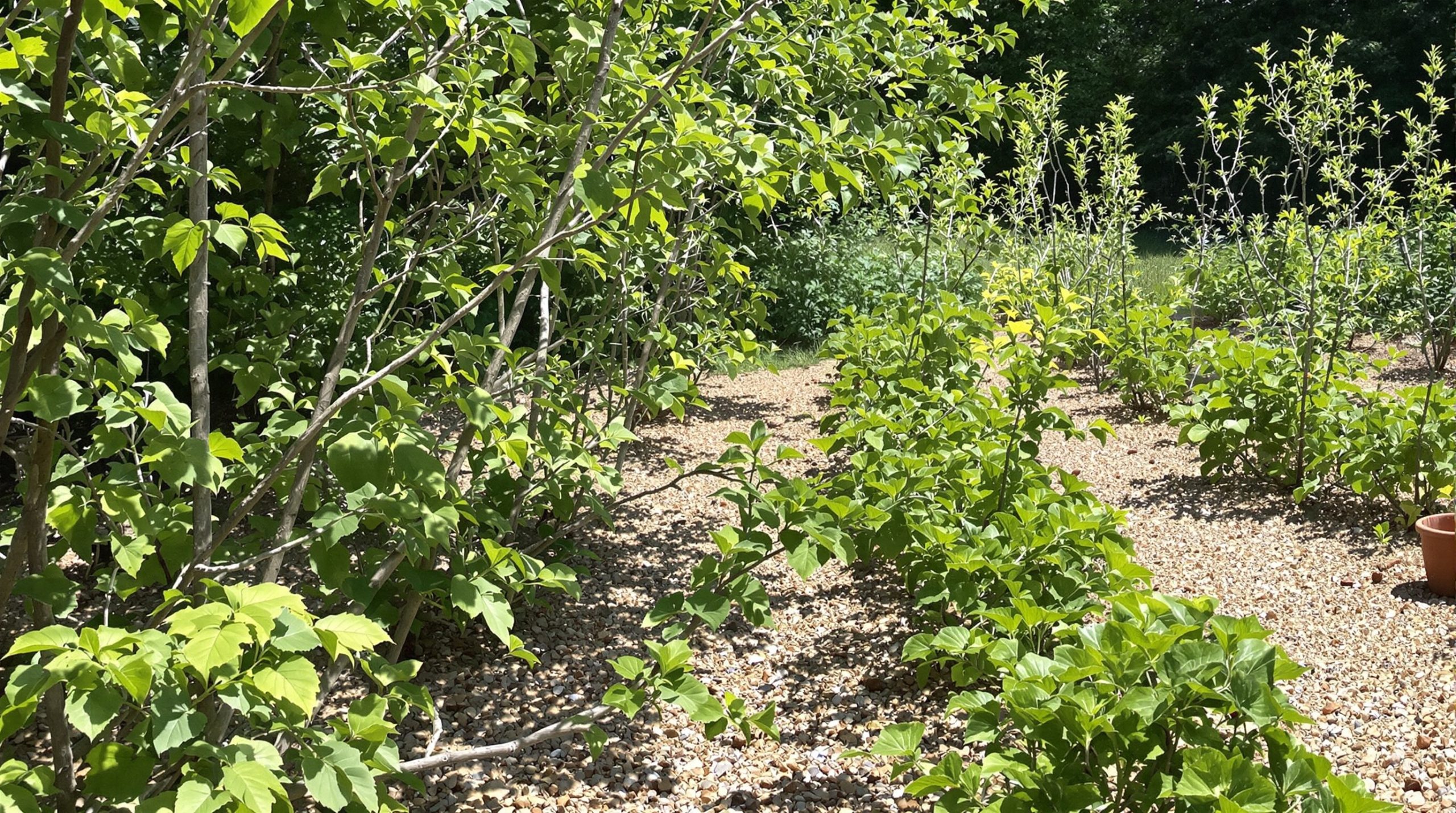 Jardin écologique recyclé