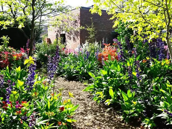 Jardin-Printanier-Luxuriant