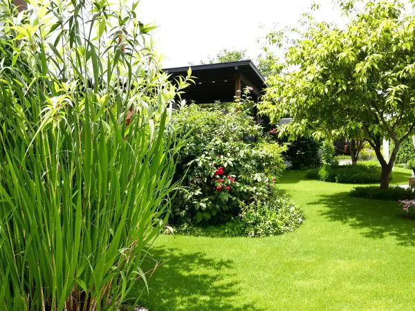 jardin_verdoyant_terrasse