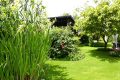 Jardinage sans contrainte : les plantes increvables pour extérieur