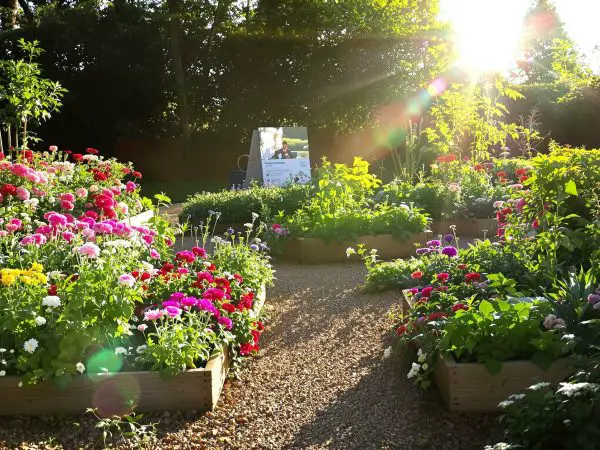 jardinier_arrosant_carre_potager