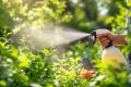 Transformez votre jardin grâce à un simple remède au vinaigre de cidre