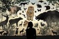 Test visuel viral : quel animal dévoile vos traits cachés ?