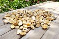 Transformez vos coquilles d’œufs en trésor pour un jardin au naturel