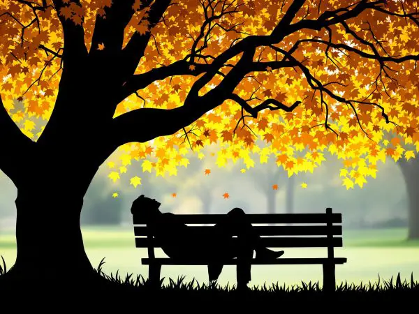 repos_silhouette_parc_nature
