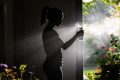 Fourmis indésirables : la méthode vinaigre blanc pour les chasser naturellement