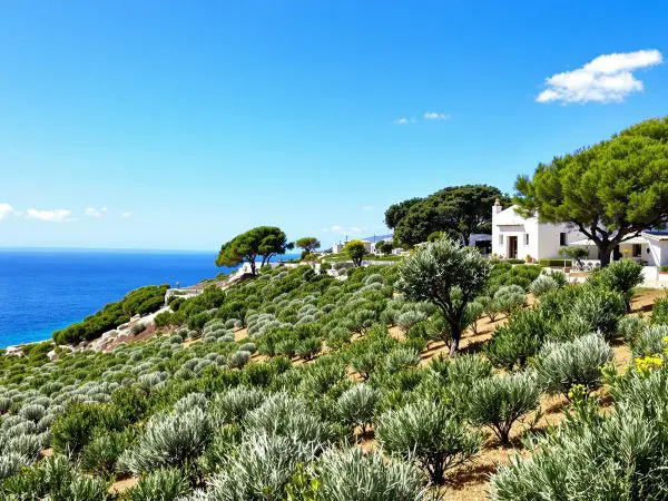 retraite_mediterraneenne