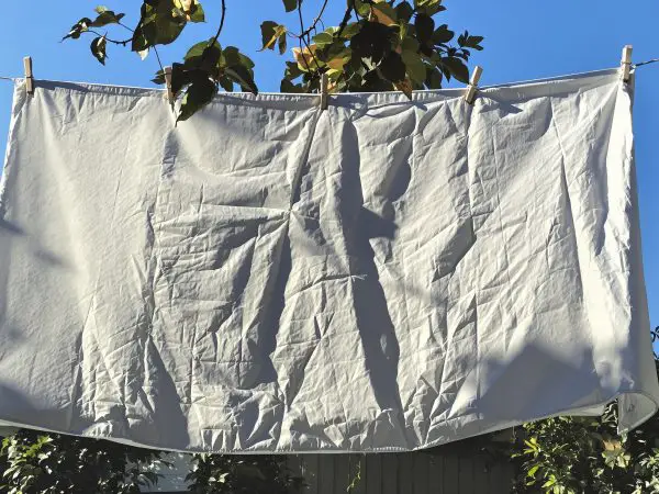 séchage_naturel_couette_jardin