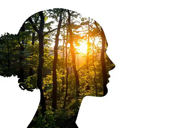 silhouette_dos_paisible_nature