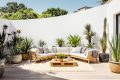 11 plantes ultra-résistantes pour un balcon vert sans effort