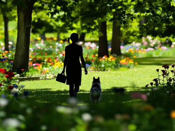 vitalite_naturelle_parc