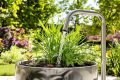 Les erreurs d’arrosage qui anéantissent vos plantes d’intérieur