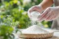Graviers blancs : astuces infaillibles pour leur redonner éclat et blancheur