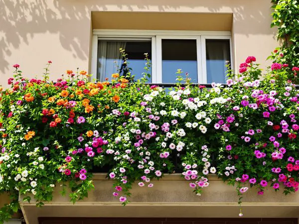 Balcon_floral_urbain