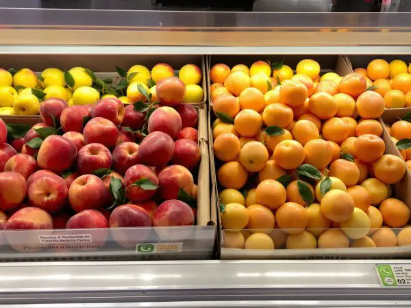 barquettes-fruits-bio-supermarché