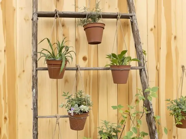Echelle_recyclee_jardin_exterieur