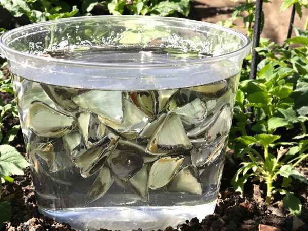Engrais_Naturel_Potager